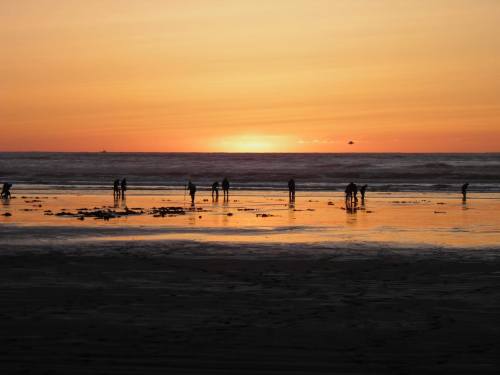 Silhouettes of people on a beach at sunset, with waves gently lapping and a colorful sky.