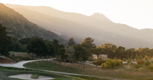 A serene landscape featuring rolling hills, trees, and a winding path, bathed in soft, golden sunlight.