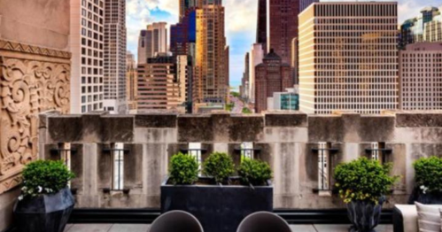 A rooftop view of a city skyline with modern buildings and greenery in planters in the foreground.