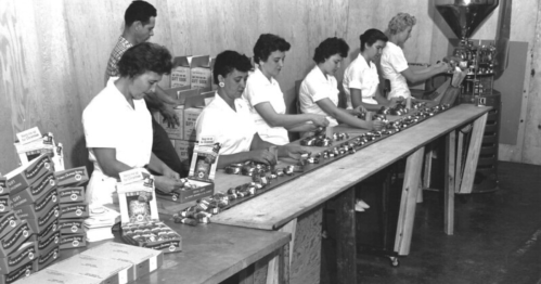 Black and white photo of women working at a conveyor belt, packaging products in a factory setting.