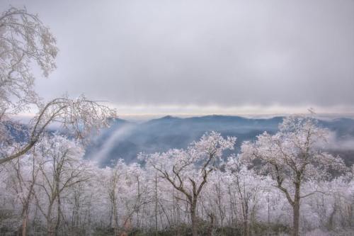 A serene winter landscape with frosted trees and misty mountains under a cloudy sky.