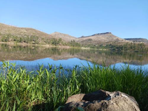 A serene lake surrounded by green grass and mountains, reflecting the clear blue sky.
