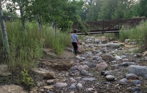 A child walks along a rocky stream bed, surrounded by greenery and a wooden bridge in the background.