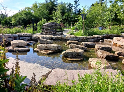 A serene garden scene featuring a pond with rocks, surrounded by lush greenery and a woven structure in the background.