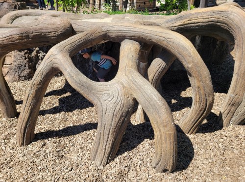 A wooden play structure with twisted, tree-like branches, surrounded by wood chips and greenery. A child is partially visible inside.