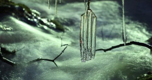 Icicles hang from branches above a flowing stream, with soft light reflecting off the water's surface.