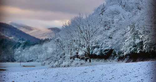 Snow-covered landscape with trees and mountains under a cloudy sky, creating a serene winter scene.