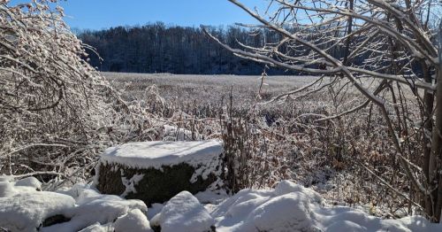 A snowy landscape with a frozen field, trees, and a stone in the foreground under a clear blue sky.