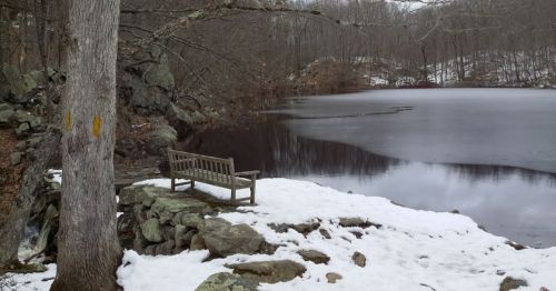 A wooden bench by a frozen pond, surrounded by snow and bare trees in a tranquil, winter landscape.