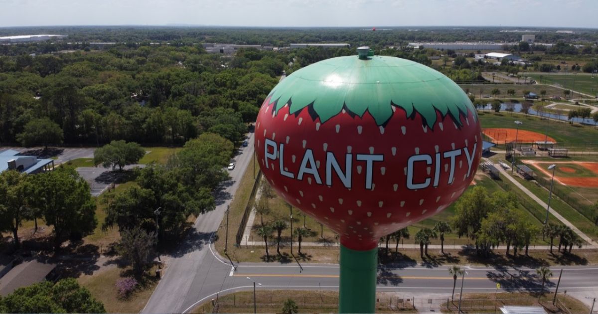 For Fresh Strawberries, Visit Plant City, Florida During Winter