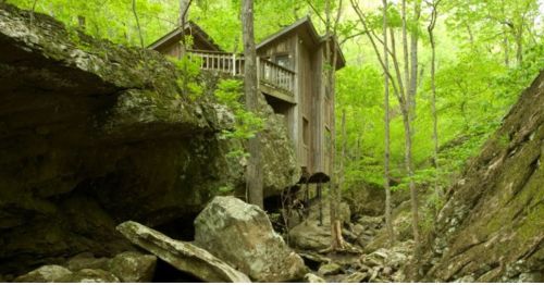 A rustic wooden cabin nestled among lush green trees and rocky terrain in a serene forest setting.