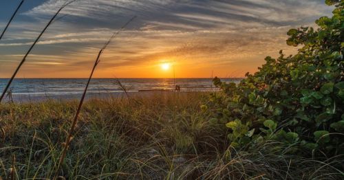 A serene beach at sunset, with tall grass in the foreground and silhouettes of two people walking along the shore.