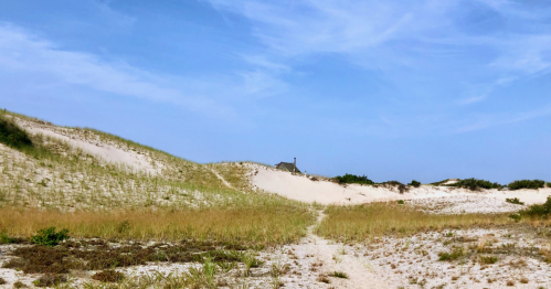 A sandy landscape with rolling dunes, sparse vegetation, and a clear blue sky in the background.