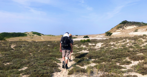 A person hiking on a sandy trail through a grassy landscape with hills and blue sky in the background.