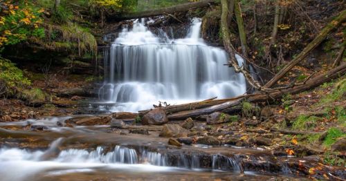 A serene waterfall cascades over rocks, surrounded by lush greenery and fallen branches in a tranquil forest setting.