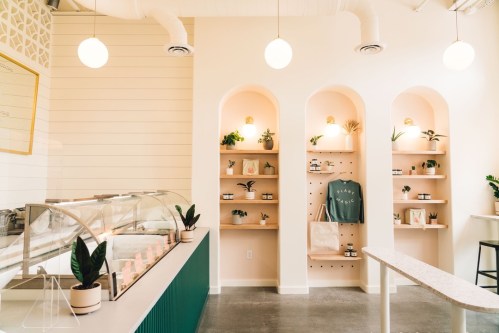 Bright, modern cafe interior with a display case, shelves of plants, and a minimalist design featuring soft lighting.