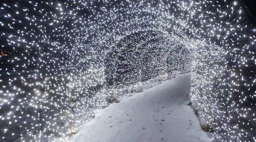 A snowy path illuminated by a tunnel of sparkling white lights, creating a magical winter atmosphere.
