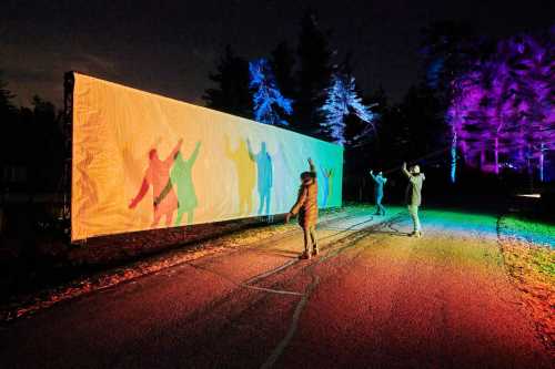 People interact with a colorful illuminated wall, casting shadows in vibrant hues against a dark night backdrop.