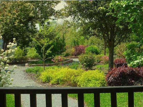 A lush garden scene with vibrant flowers, trees, and winding paths under a clear sky.