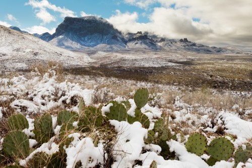 A snowy landscape featuring cacti in the foreground and a mountain range under a cloudy sky in the background.