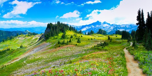 A scenic landscape featuring rolling hills, vibrant wildflowers, and distant mountains under a bright blue sky.