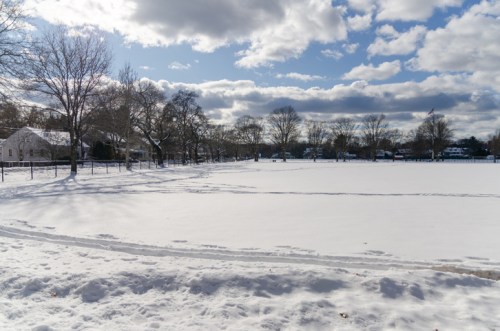 A snowy landscape with a clear sky, trees, and a distant view of houses and a flag.