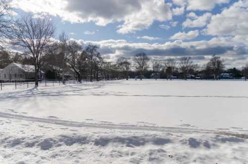 A snowy landscape with a clear sky, trees, and a distant view of houses and a flag.