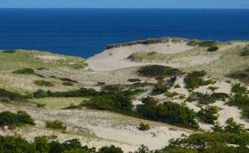 A serene coastal landscape featuring sandy dunes, green vegetation, and a clear blue ocean in the background.