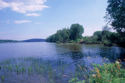 A serene lake scene with lush greenery, gentle waves, and a clear blue sky reflecting on the water's surface.