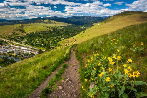 A scenic view of a winding trail through green hills, with wildflowers in the foreground and a valley below under a blue sky.