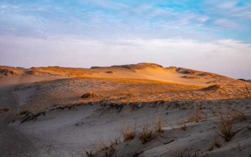 A serene landscape of sand dunes under a blue sky, with soft golden light illuminating the sandy terrain.