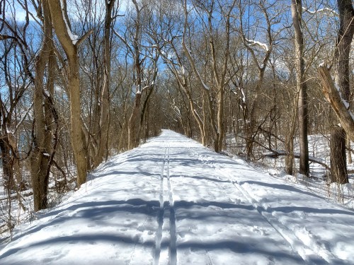 Snow-covered path through a wooded area, flanked by bare trees under a clear blue sky.