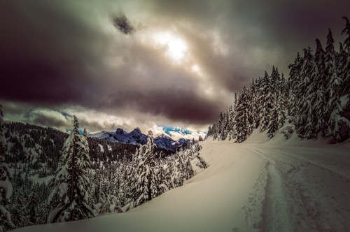 A snowy landscape with tall evergreen trees, a winding path, and dramatic clouds above the mountains in the distance.