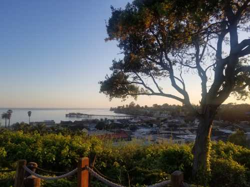 A scenic view of a coastal town at sunset, featuring a pier, palm trees, and a large tree in the foreground.