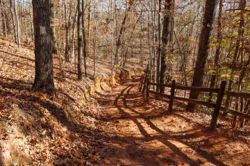 A winding dirt path through a forest with autumn leaves and wooden fencing on a sunny day.