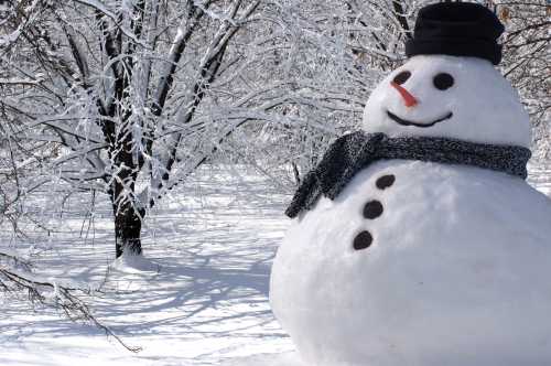 A cheerful snowman with a black hat and scarf stands in a snowy landscape, surrounded by frosted trees.