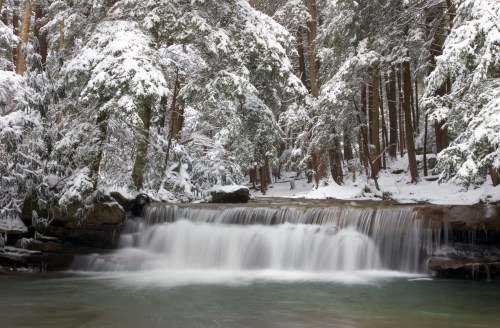 A serene winter scene featuring a waterfall surrounded by snow-covered trees in a tranquil forest setting.