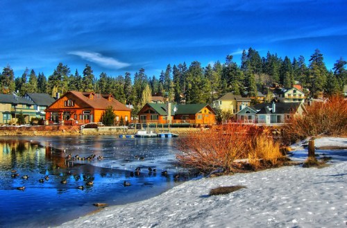 A serene lakeside scene with colorful houses, snowy banks, and ducks swimming in the water, surrounded by pine trees.