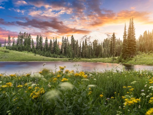 A serene landscape featuring a lake, wildflowers, and tall trees, with a mountain backdrop under a colorful sunset sky.