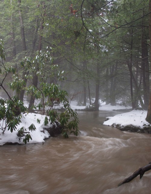 A misty forest scene with a flowing river, surrounded by snow and lush green trees.