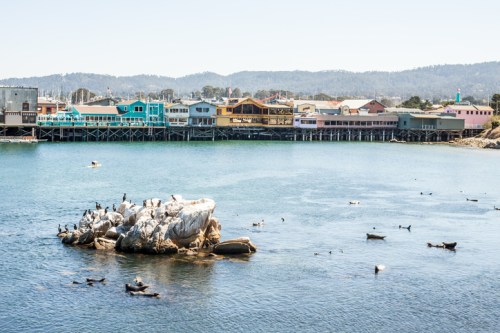 A rocky outcrop in a calm bay, surrounded by birds, with colorful buildings lining the shore in the background.