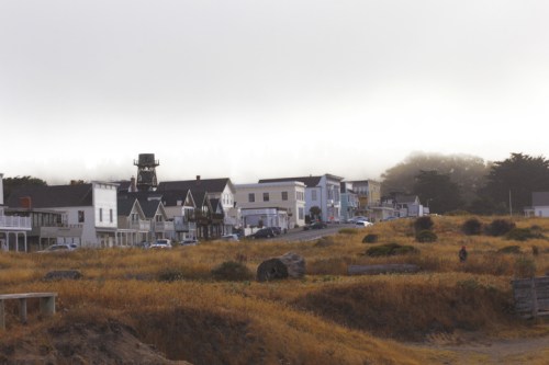 Foggy coastal scene with quaint houses and a water tower, surrounded by golden grass and a serene atmosphere.