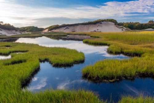 Lush green marshland with calm water reflecting the sky, surrounded by sandy hills under a blue sky with clouds.