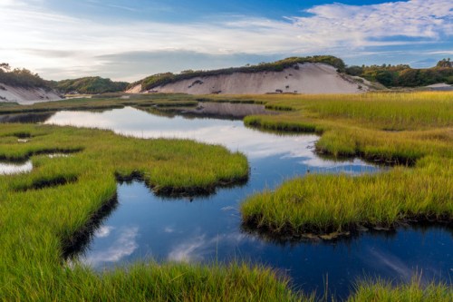 Lush green marshland with calm water reflecting the sky, surrounded by sandy hills under a blue sky with clouds.