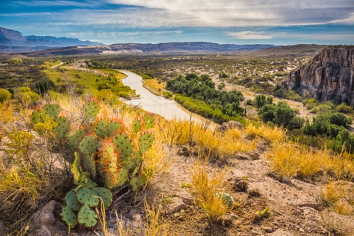 A scenic view of a river winding through a desert landscape with cacti and mountains in the background.