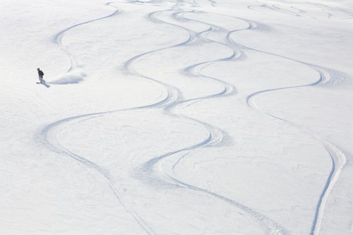 A lone snowboarder carves smooth, winding tracks in fresh, untouched snow on a bright, clear day.