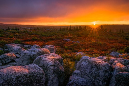 A vibrant sunset over a rocky landscape, with colorful foliage and trees silhouetted against the glowing sky.