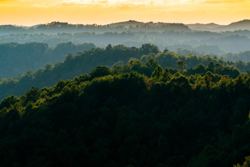 A misty landscape of rolling hills and dense forests under a golden sunrise.