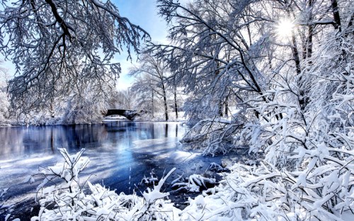 A serene winter landscape with a frozen lake, snow-covered trees, and sunlight filtering through the branches.