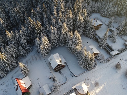 Aerial view of snow-covered houses surrounded by tall, frosted pine trees in a winter landscape.